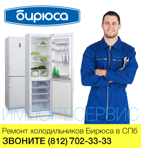 Ремонт холодильников Бирюса в СПб