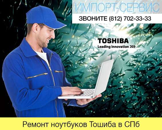 Ремонт ноутбуков Тошиба в Санкт-Петербурге